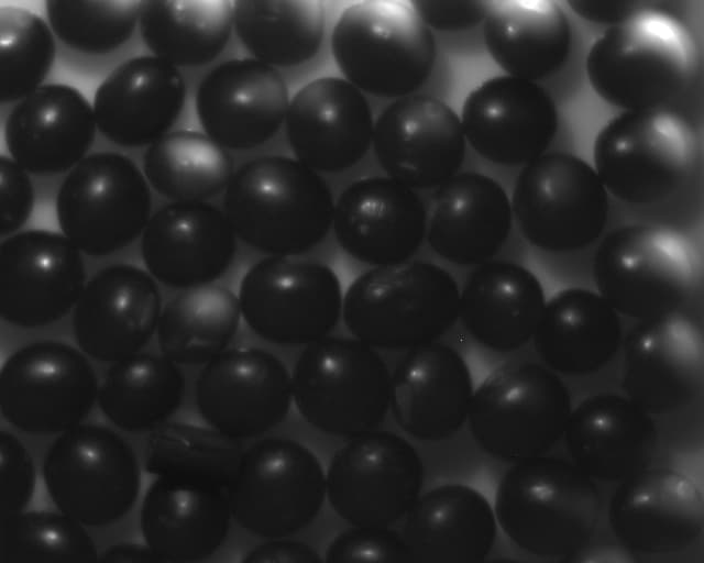 可視光下での黒豆の撮像例