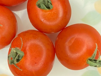 一般的なリング照明で行った場合の撮像例